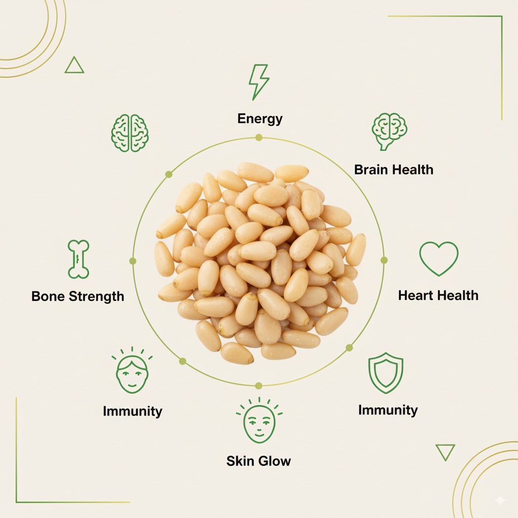 Fresh Crop Chilgoza (Pine Nuts / Neja) – Premium Quality Kernels